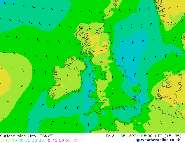 Surface wind ECMWF Fr 31.05.2024 06 UTC