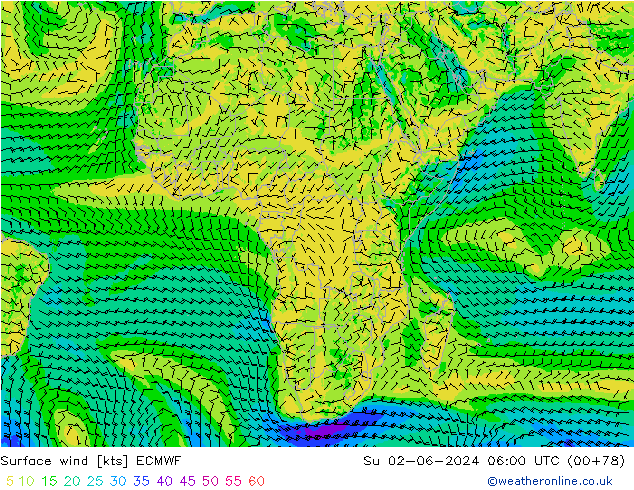 Bodenwind ECMWF So 02.06.2024 06 UTC