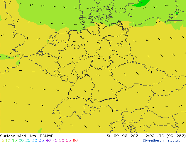 Bodenwind ECMWF So 09.06.2024 12 UTC