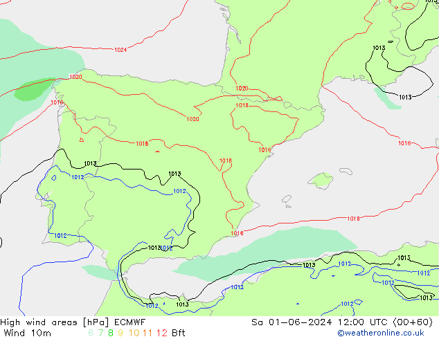 High wind areas ECMWF Sa 01.06.2024 12 UTC