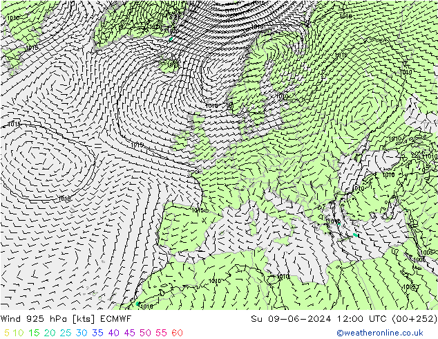 Wind 925 hPa ECMWF So 09.06.2024 12 UTC