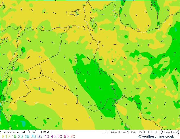 Wind 10 m ECMWF di 04.06.2024 12 UTC