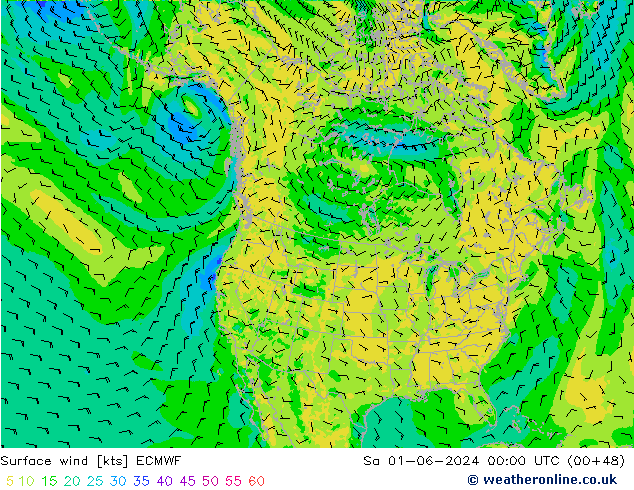 Surface wind ECMWF So 01.06.2024 00 UTC