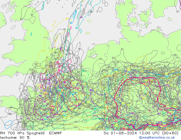 RH 700 гПа Spaghetti ECMWF сб 01.06.2024 12 UTC
