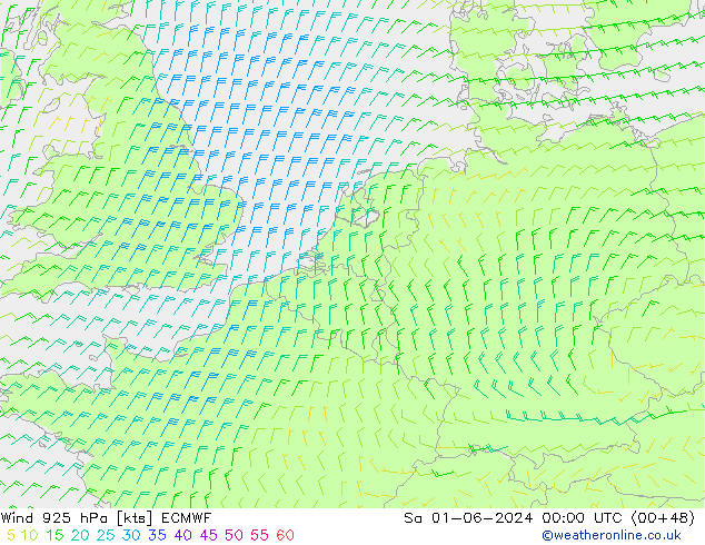 Rüzgar 925 hPa ECMWF Cts 01.06.2024 00 UTC