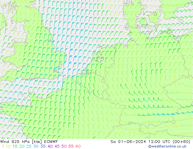 Wind 925 hPa ECMWF So 01.06.2024 12 UTC