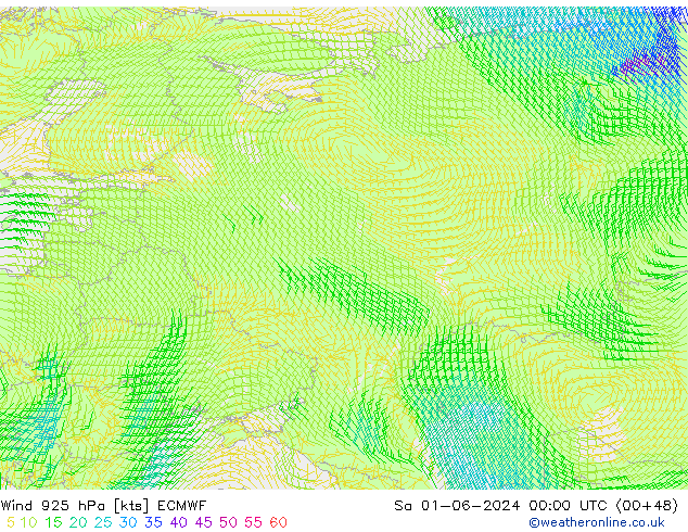 Viento 925 hPa ECMWF sáb 01.06.2024 00 UTC