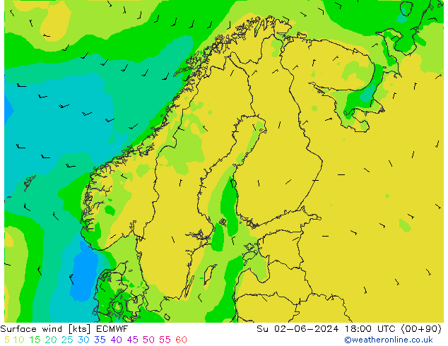 Wind 10 m ECMWF zo 02.06.2024 18 UTC