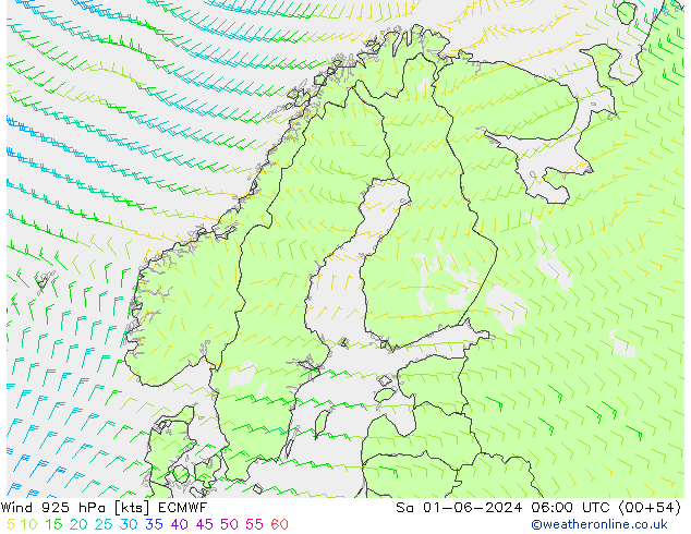 Viento 925 hPa ECMWF sáb 01.06.2024 06 UTC