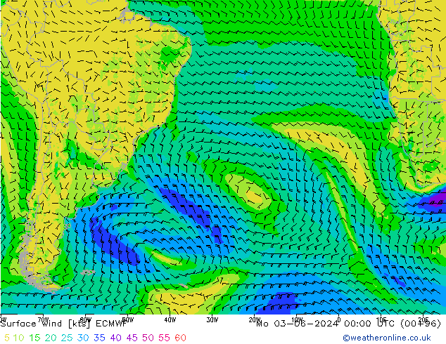 ветер 10 m ECMWF пн 03.06.2024 00 UTC