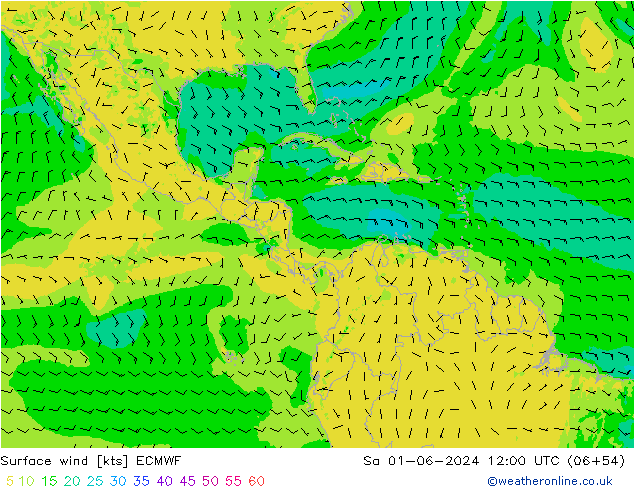 Vento 10 m ECMWF Sáb 01.06.2024 12 UTC