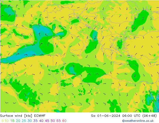 Surface wind ECMWF Sa 01.06.2024 06 UTC