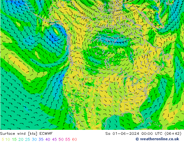 Bodenwind ECMWF Sa 01.06.2024 00 UTC