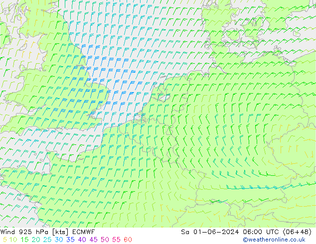 Rüzgar 925 hPa ECMWF Cts 01.06.2024 06 UTC