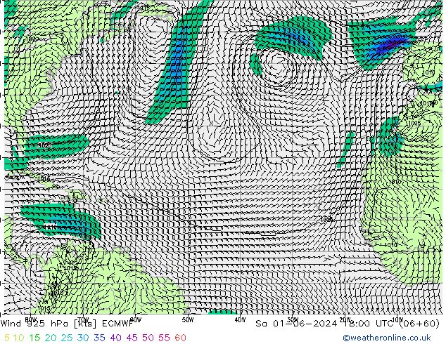  925 hPa ECMWF  01.06.2024 18 UTC