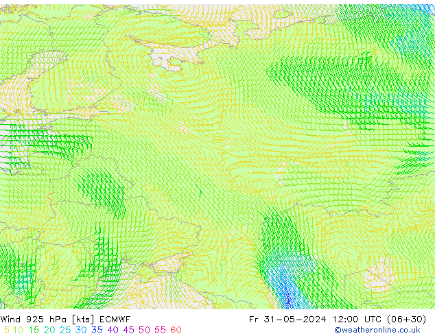 Vento 925 hPa ECMWF ven 31.05.2024 12 UTC