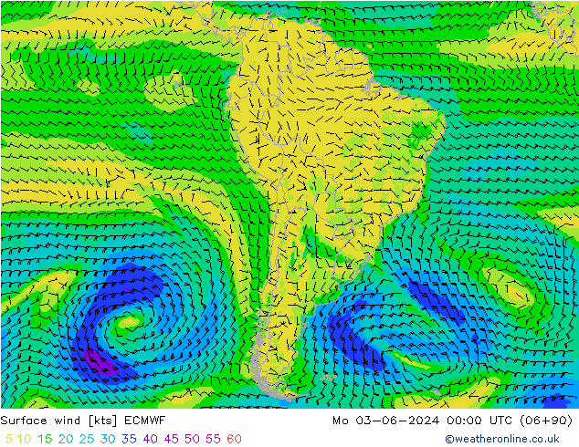 ветер 10 m ECMWF пн 03.06.2024 00 UTC