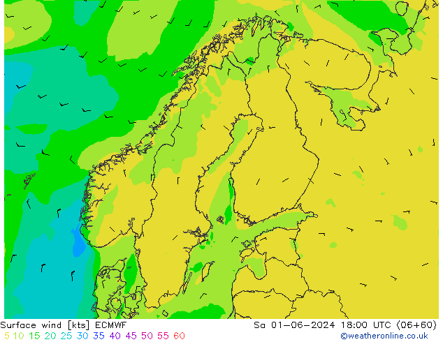 Surface wind ECMWF Sa 01.06.2024 18 UTC