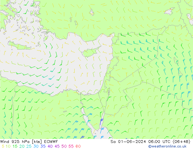 Vento 925 hPa ECMWF sab 01.06.2024 06 UTC