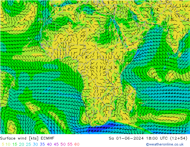 Surface wind ECMWF So 01.06.2024 18 UTC