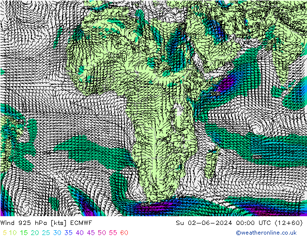 Wind 925 hPa ECMWF Su 02.06.2024 00 UTC