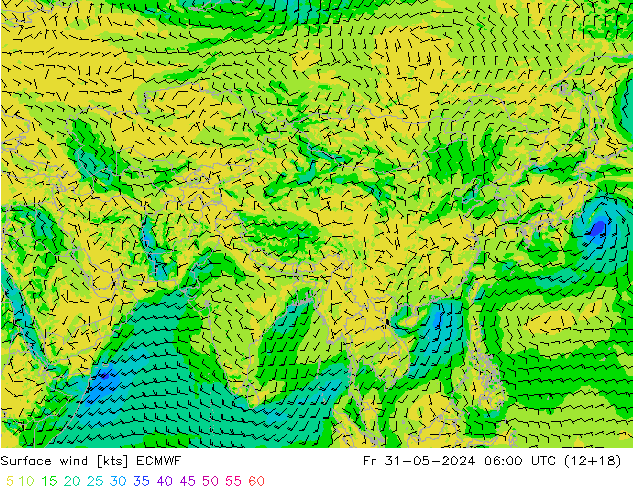 Vent 10 m ECMWF ven 31.05.2024 06 UTC