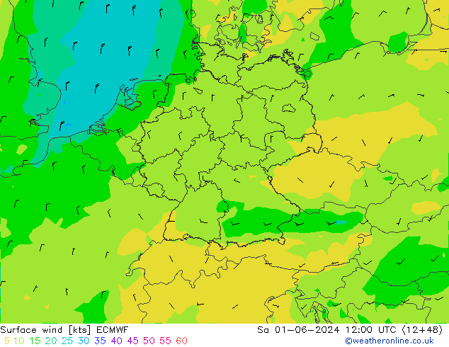 Wind 10 m ECMWF za 01.06.2024 12 UTC