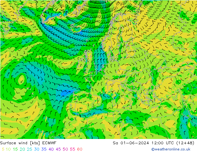 Surface wind ECMWF Sa 01.06.2024 12 UTC