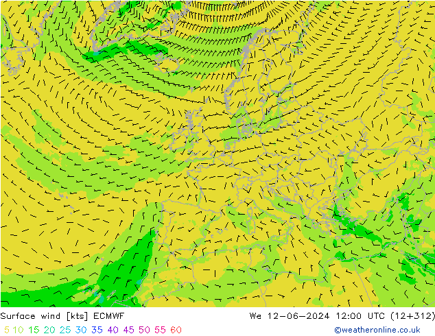 Bodenwind ECMWF Mi 12.06.2024 12 UTC