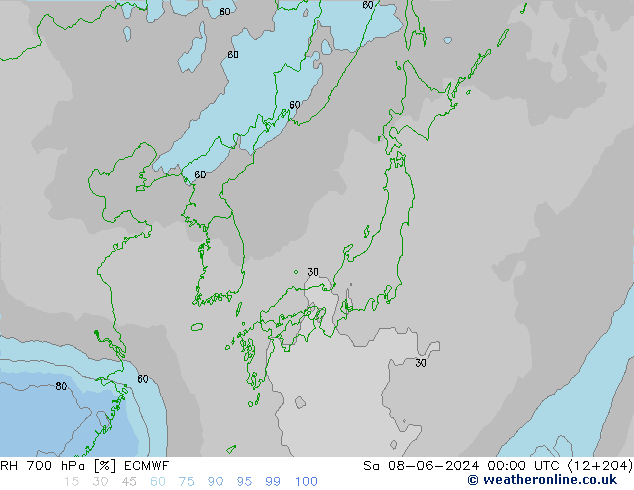 RH 700 hPa ECMWF  08.06.2024 00 UTC