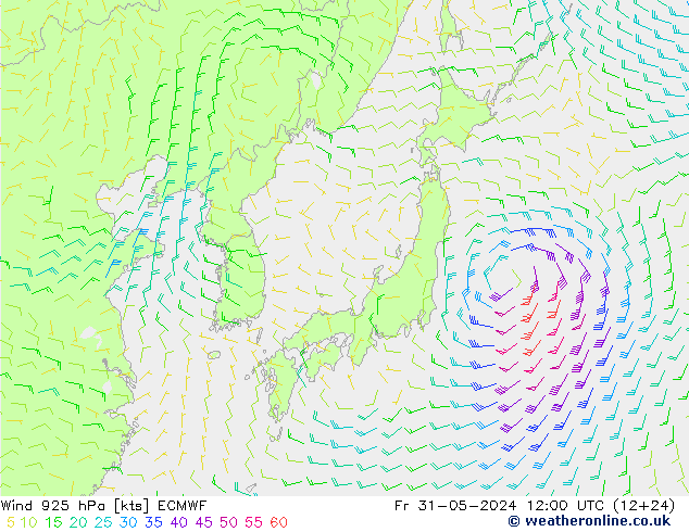 Viento 925 hPa ECMWF vie 31.05.2024 12 UTC