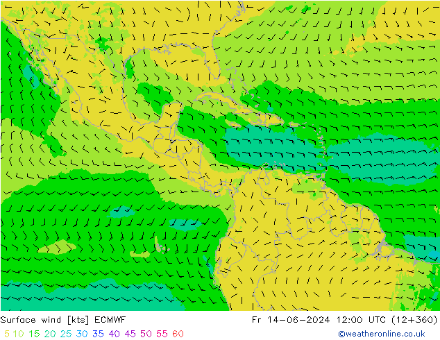 Viento 10 m ECMWF vie 14.06.2024 12 UTC