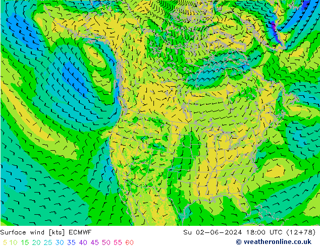 Surface wind ECMWF Su 02.06.2024 18 UTC