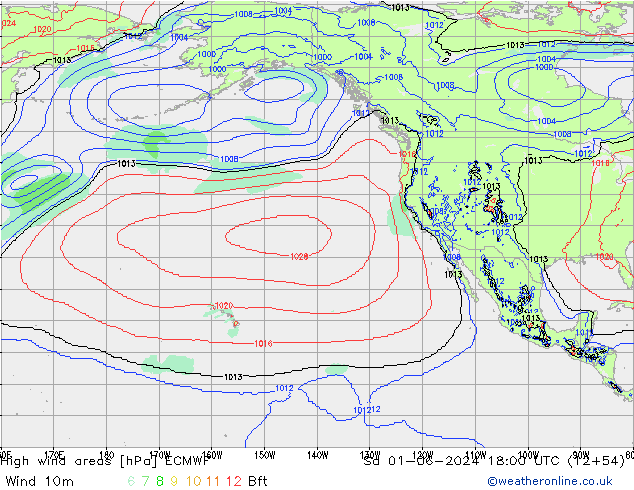 High wind areas ECMWF Sa 01.06.2024 18 UTC