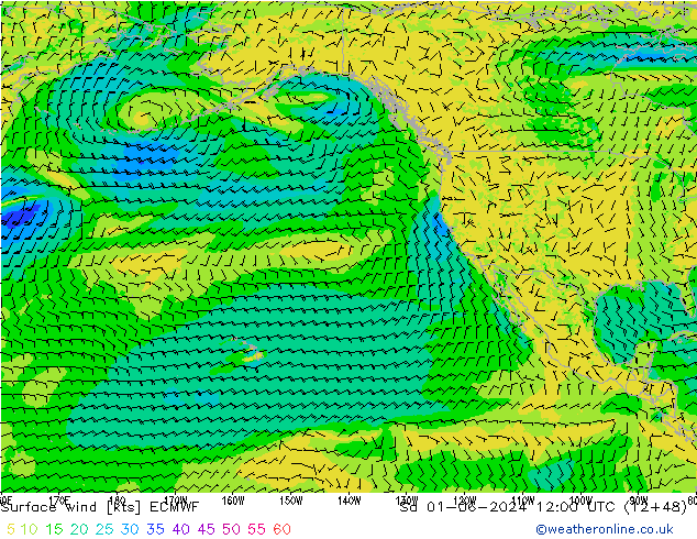 Surface wind ECMWF So 01.06.2024 12 UTC