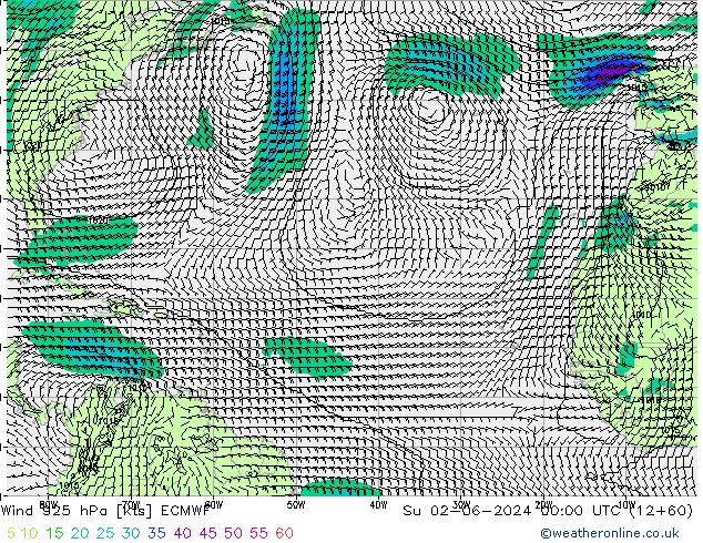 Rüzgar 925 hPa ECMWF Paz 02.06.2024 00 UTC