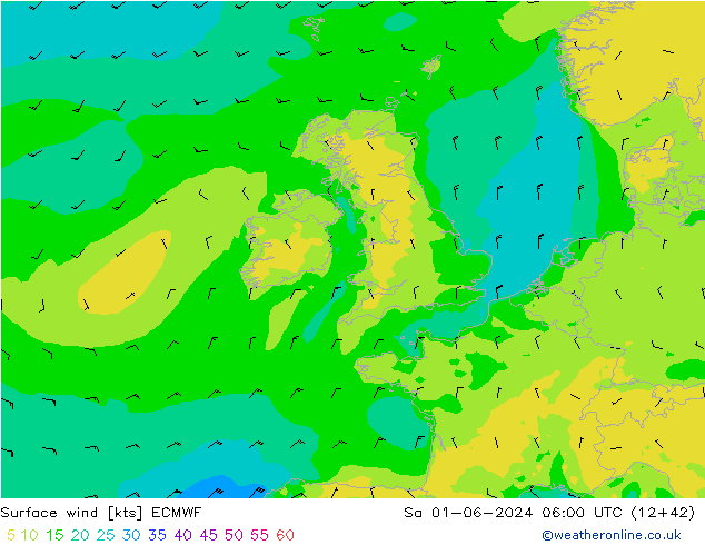 Vento 10 m ECMWF sab 01.06.2024 06 UTC