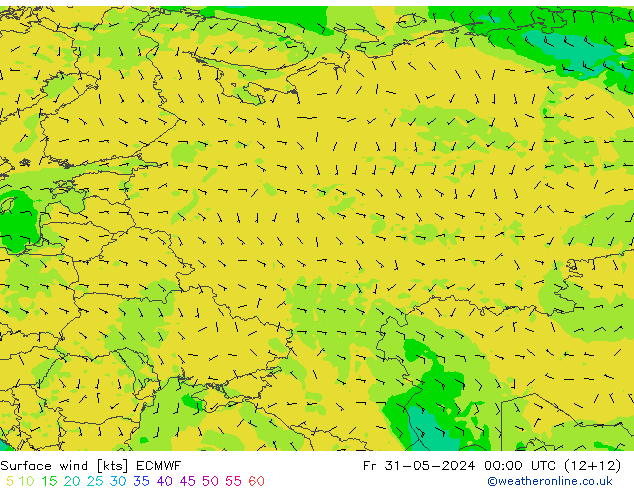 Surface wind ECMWF Pá 31.05.2024 00 UTC