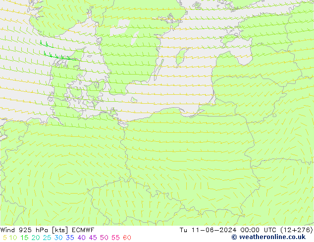 wiatr 925 hPa ECMWF wto. 11.06.2024 00 UTC