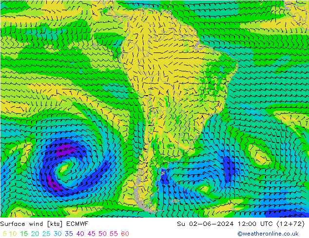 Surface wind ECMWF Ne 02.06.2024 12 UTC