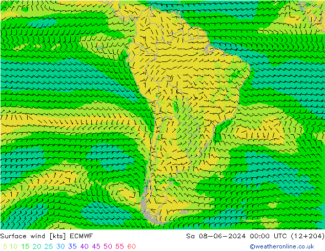 wiatr 10 m ECMWF so. 08.06.2024 00 UTC