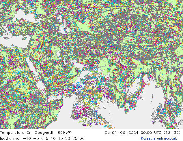 Temperatura 2m Spaghetti ECMWF sáb 01.06.2024 00 UTC