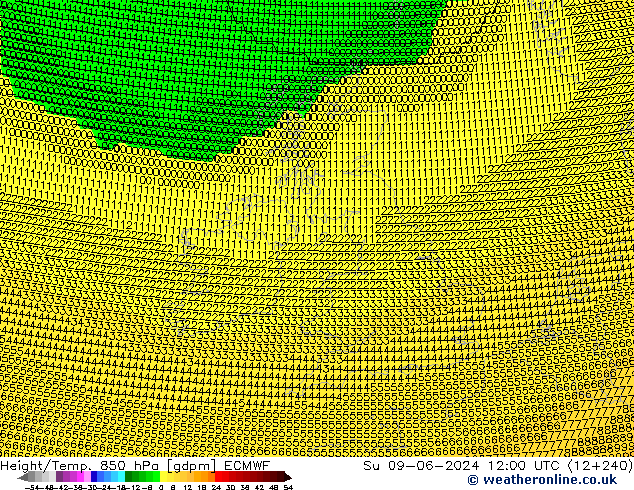 Height/Temp. 850 гПа ECMWF Вс 09.06.2024 12 UTC