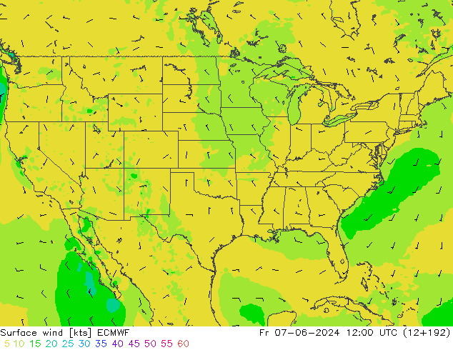 Surface wind ECMWF Fr 07.06.2024 12 UTC