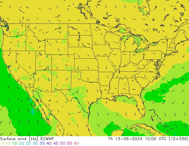 Bodenwind ECMWF Do 13.06.2024 12 UTC