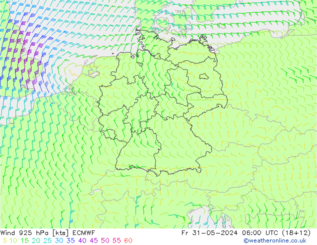 Wind 925 hPa ECMWF Fr 31.05.2024 06 UTC