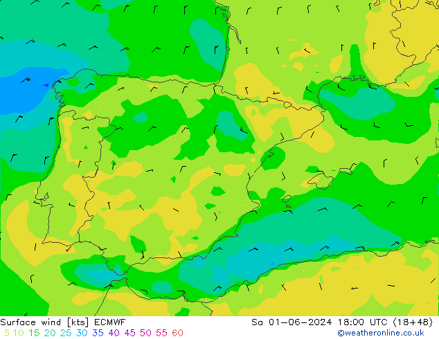 Rüzgar 10 m ECMWF Cts 01.06.2024 18 UTC