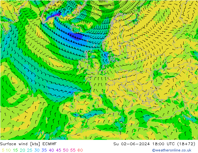 Bodenwind ECMWF So 02.06.2024 18 UTC