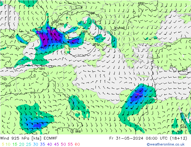 Wind 925 hPa ECMWF Fr 31.05.2024 06 UTC