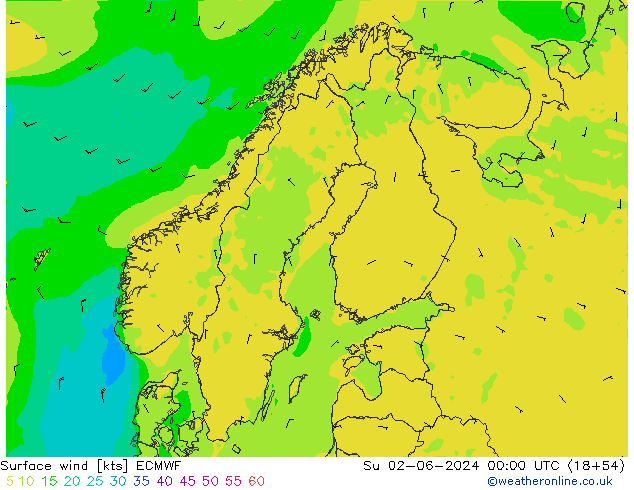 Surface wind ECMWF Ne 02.06.2024 00 UTC